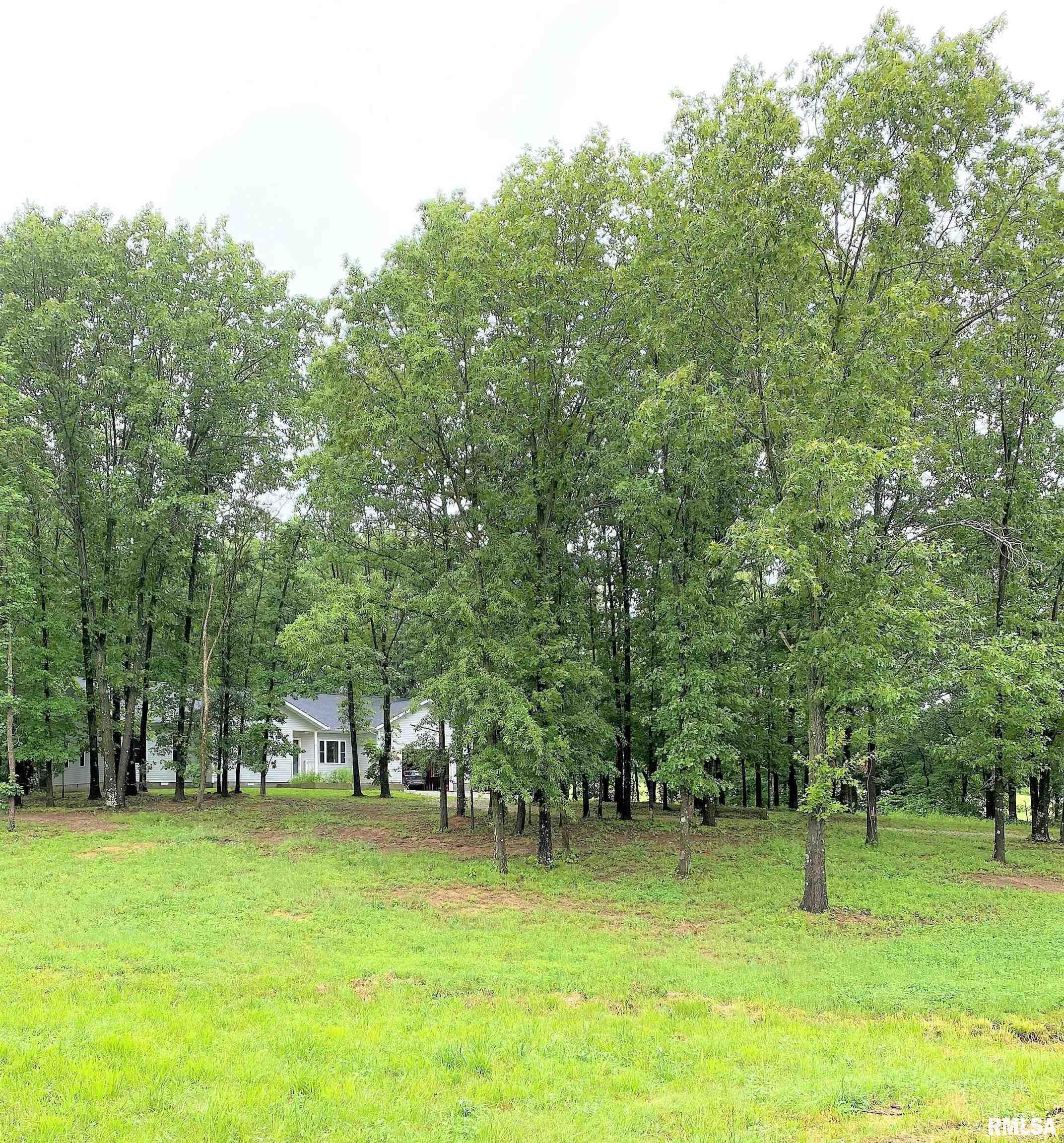 235 Eblin Road Texico, IL 62889 - Photo 47 of 50