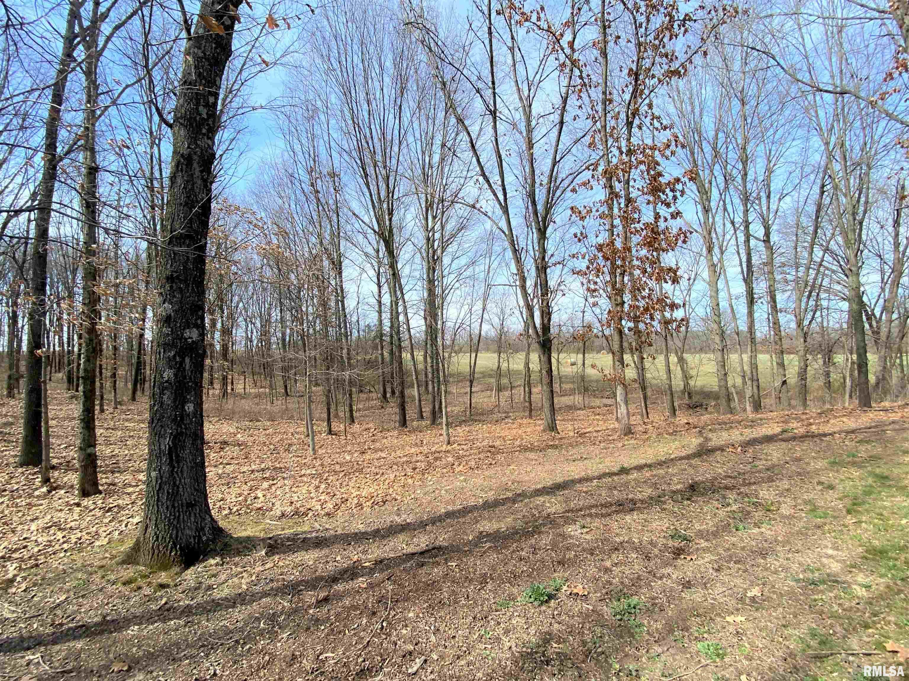235 Eblin Road Texico, IL 62889 - Photo 48 of 50