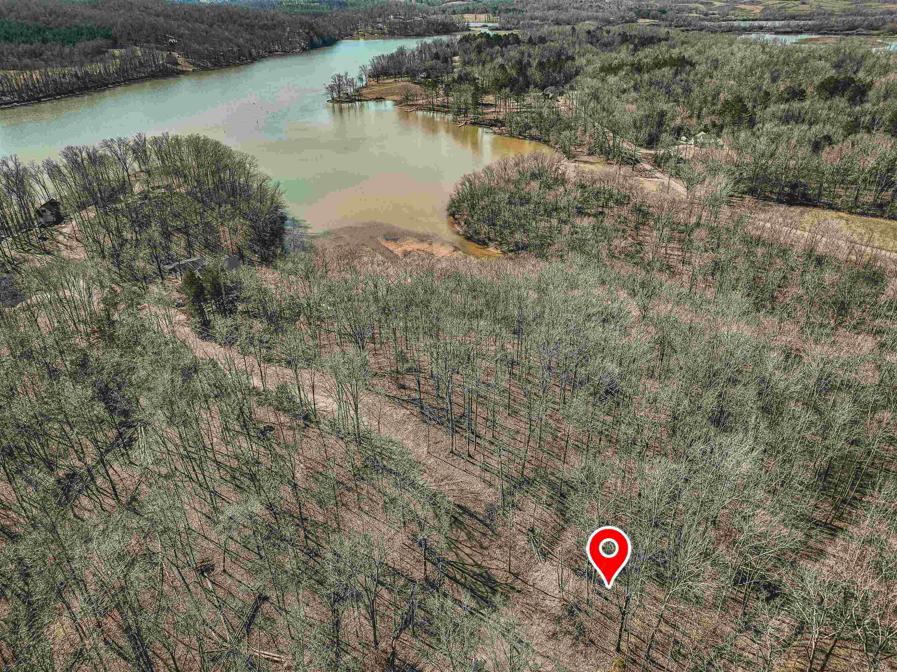 Lot 425 Fawn Ridge Road Parsons, TN 38363 - Photo 5 of 21 a view of a tree next to a lake