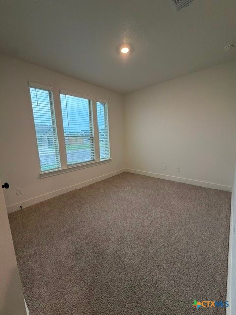 8918 Trungle Road Temple, TX 76502 - Photo 19 of 24