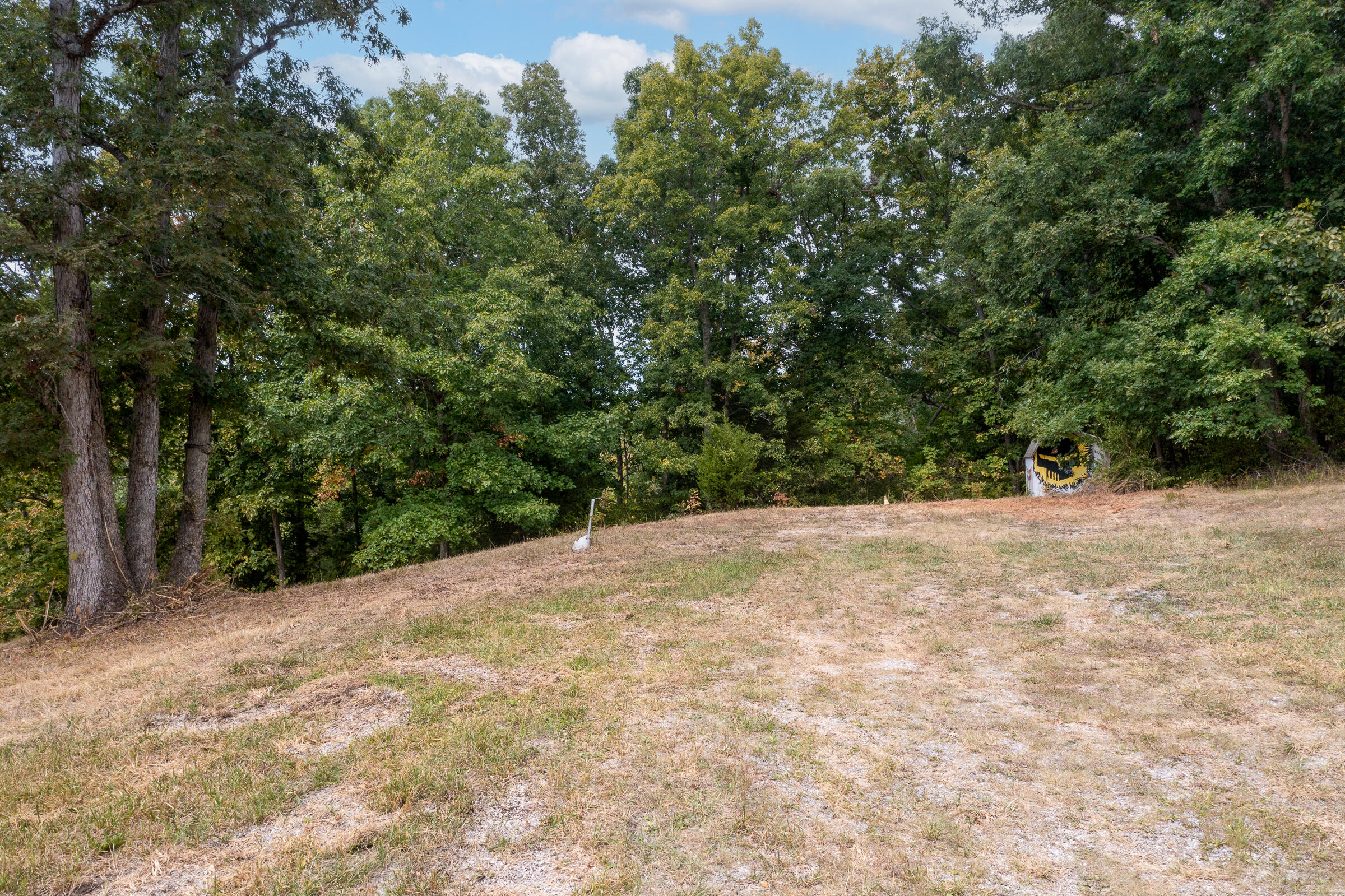 285 Ridge Road Dry Ridge, KY 41035 - Photo 5 of 17 Gallery Image 5