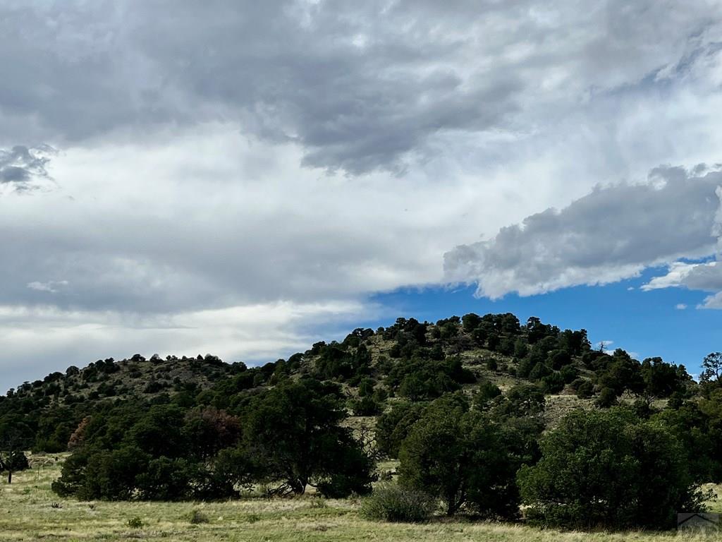 Tbd Ketchum Road Walsenburg, CO 81089 - Photo 21 of 22
