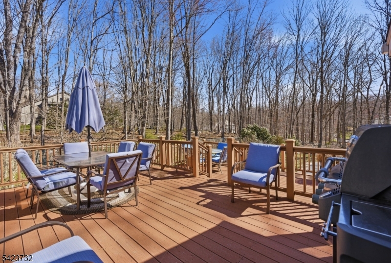 111 Green Road Sparta, NJ 07871 - Photo 36 of 50