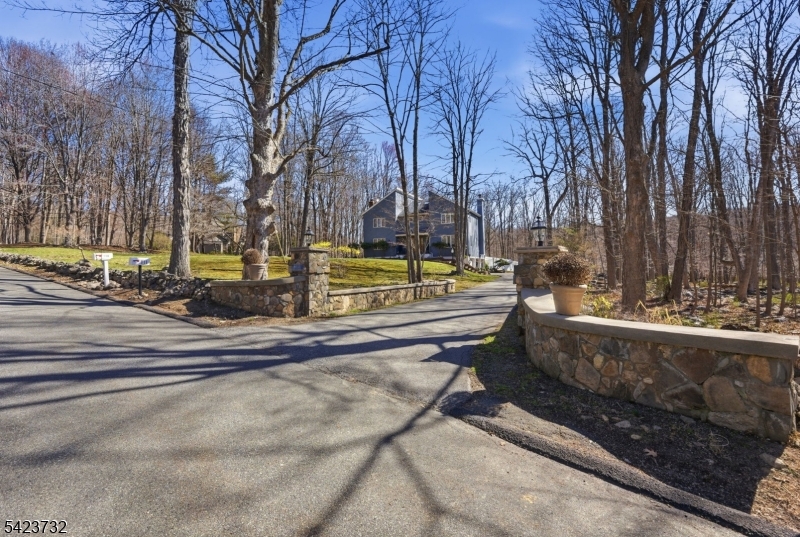 111 Green Road Sparta, NJ 07871 - Photo 6 of 50