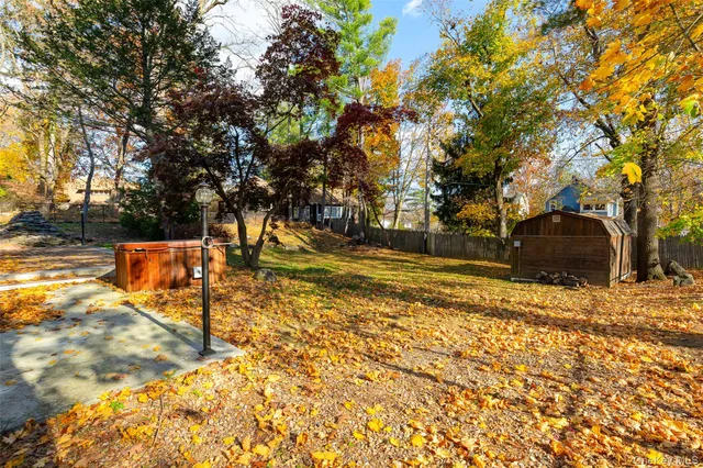 a view of a yard with lots of trees