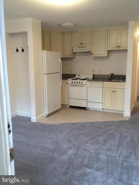 410 Ridge Street Northwest Washington, DC 20001 - Photo 10 of 10 Basement