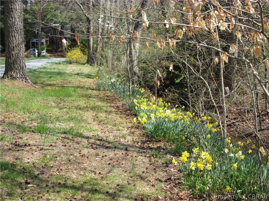 548 Main Street Mathews, VA 23109 - Photo 29 of 38 Gallery Image 29