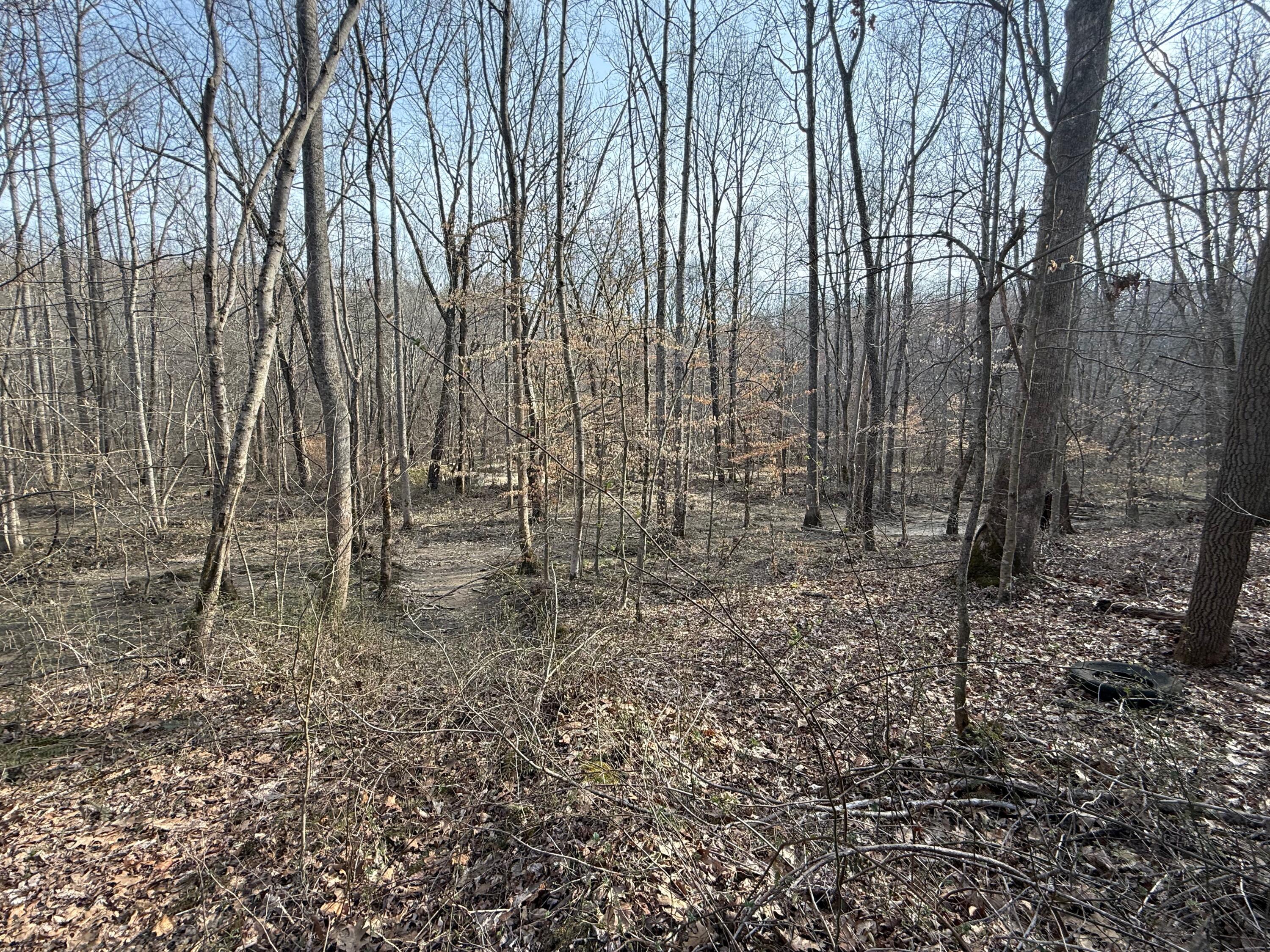 0 Westerfield Road London, KY 40744 - Photo 9 of 23 IMG_0017