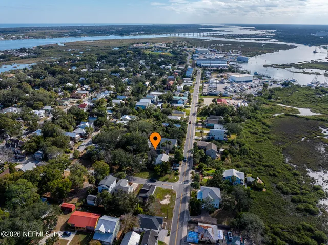 an aerial view of a house with a yard and potted plants