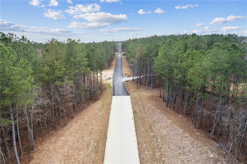 400 Spring Rdg Path Dallas, GA 30132 - Photo 13 of 15