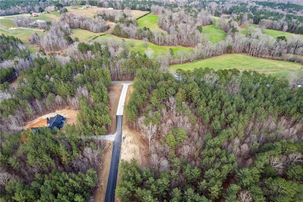 400 Spring Rdg Path Dallas, GA 30132 - Photo 4 of 15