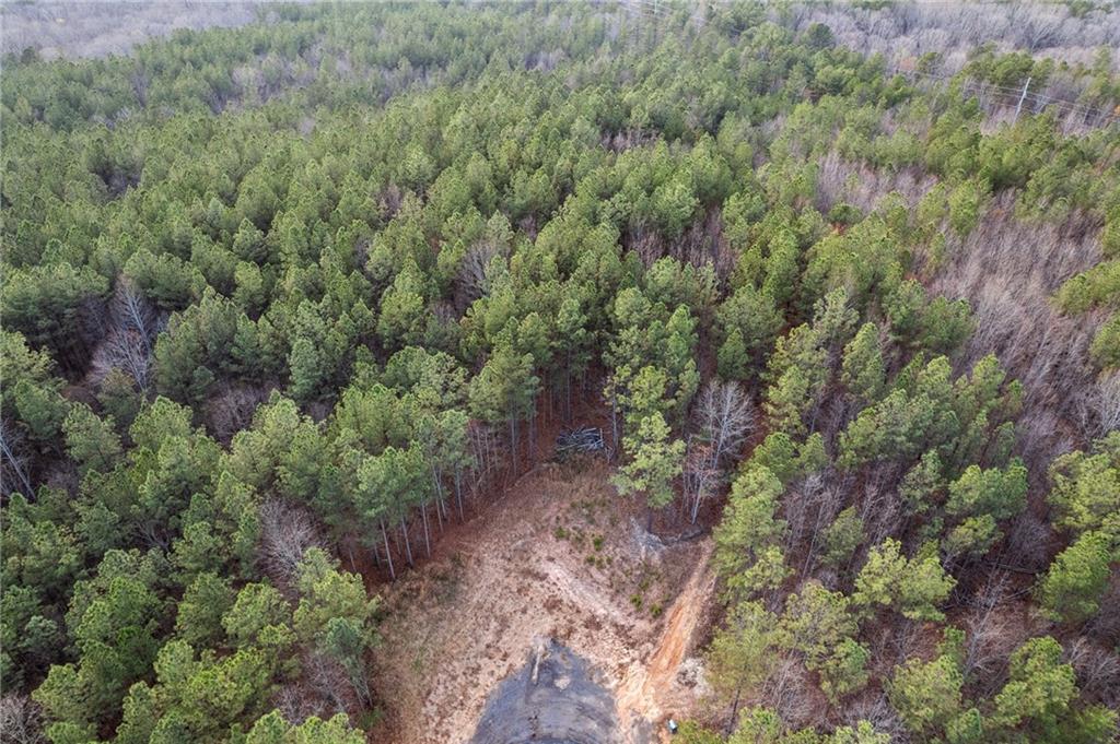 400 Spring Rdg Path Dallas, GA 30132 - Photo 8 of 15