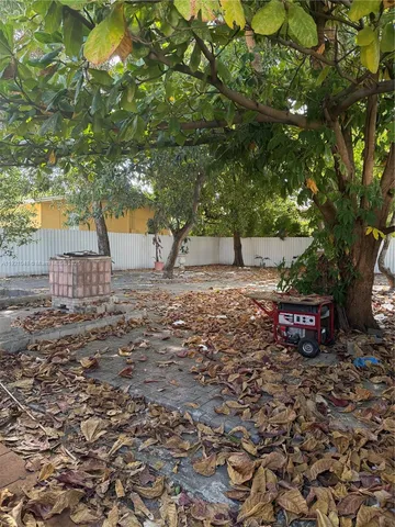a view of a backyard with large tree