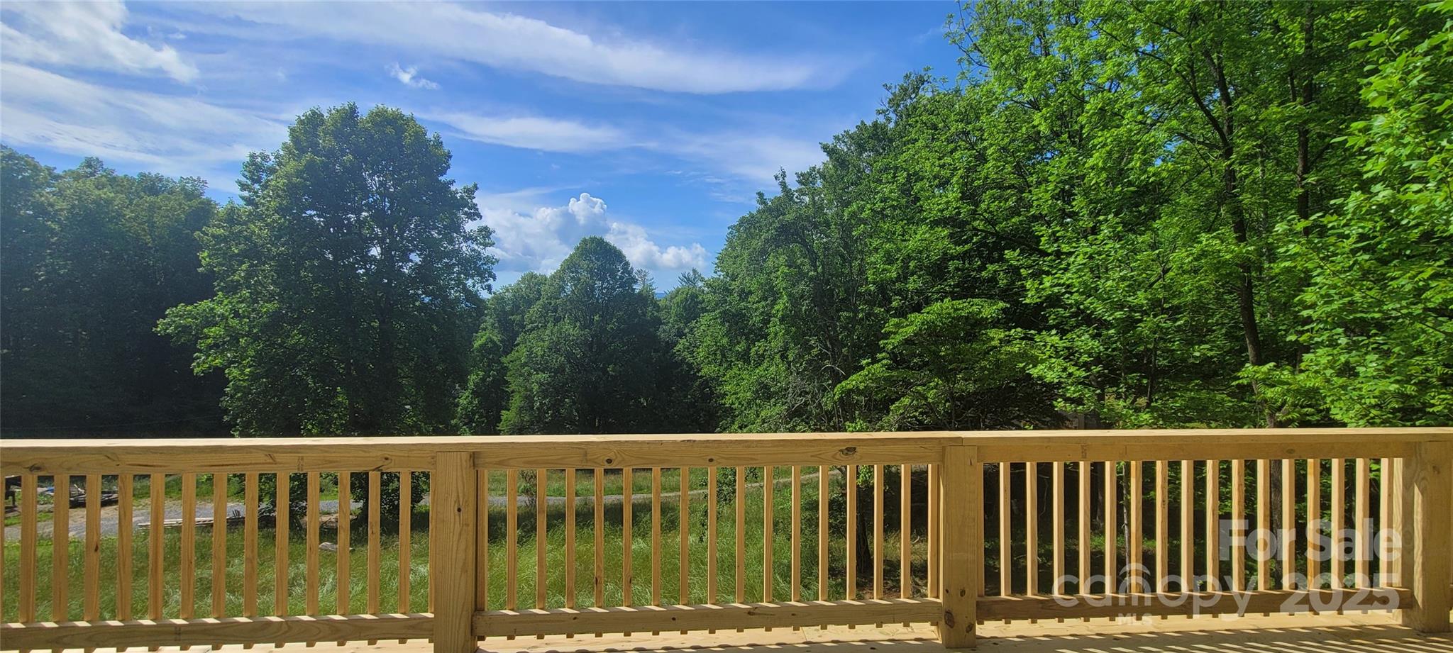 132 Connestee Road Brevard, NC 28712 - Photo 25 of 46