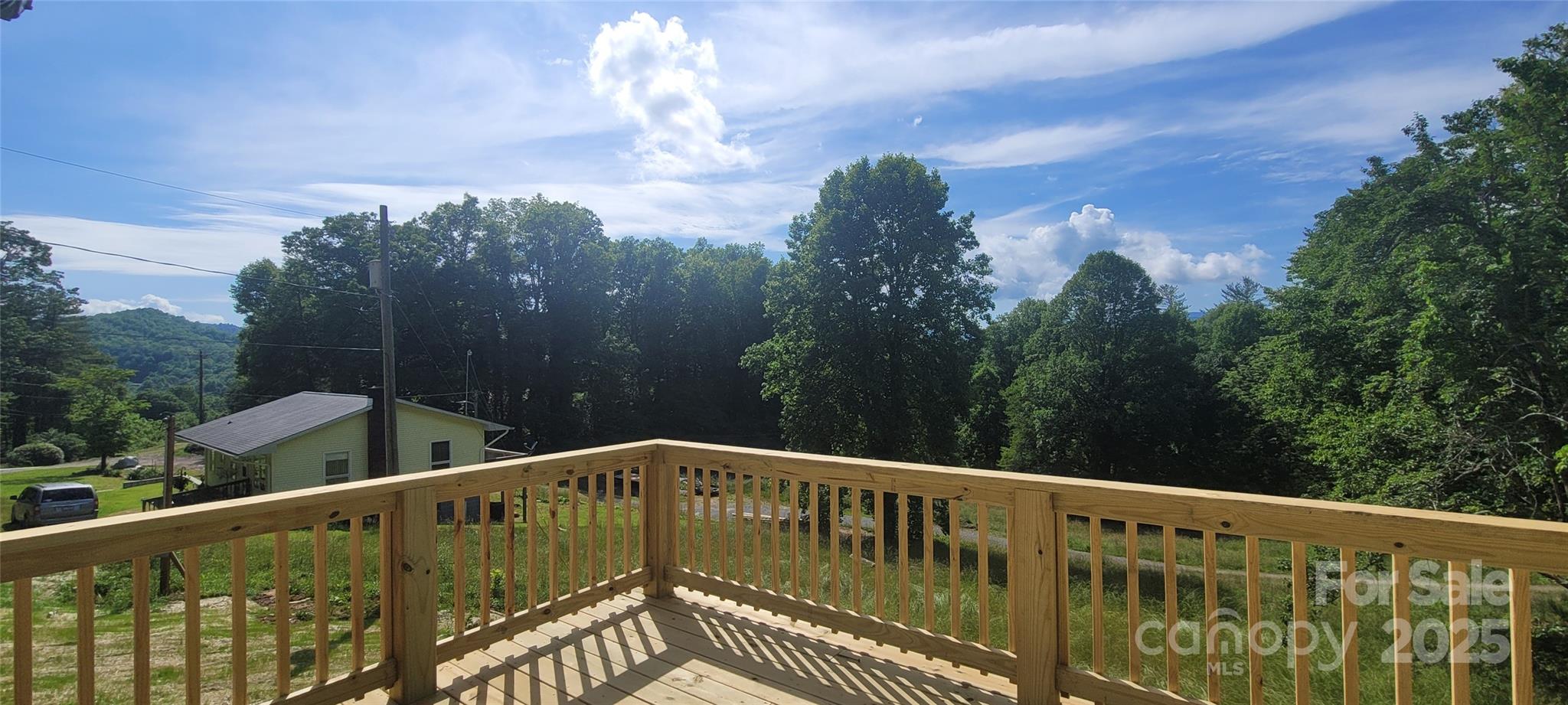 132 Connestee Road Brevard, NC 28712 - Photo 26 of 46