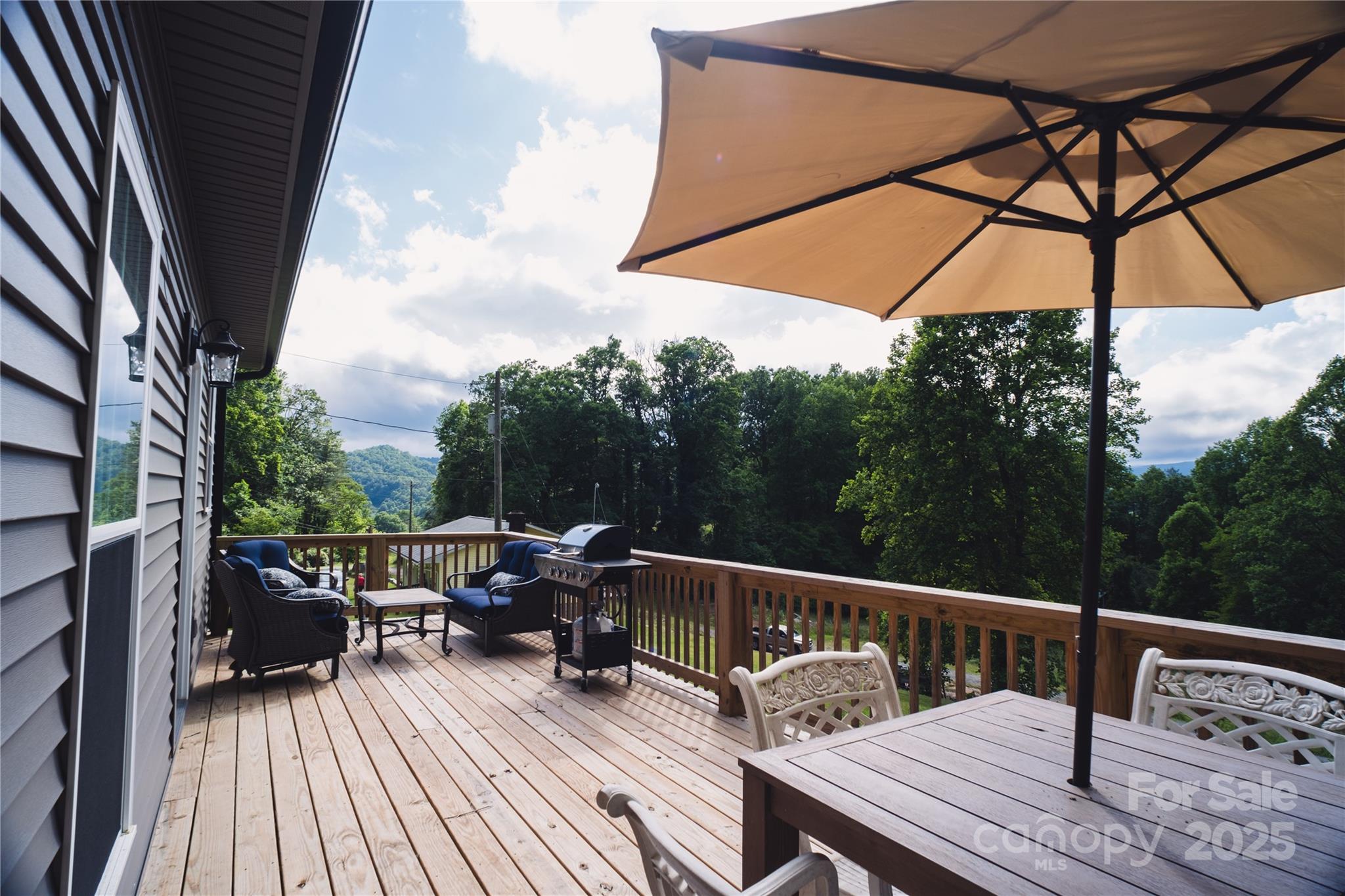 132 Connestee Road Brevard, NC 28712 - Photo 27 of 46