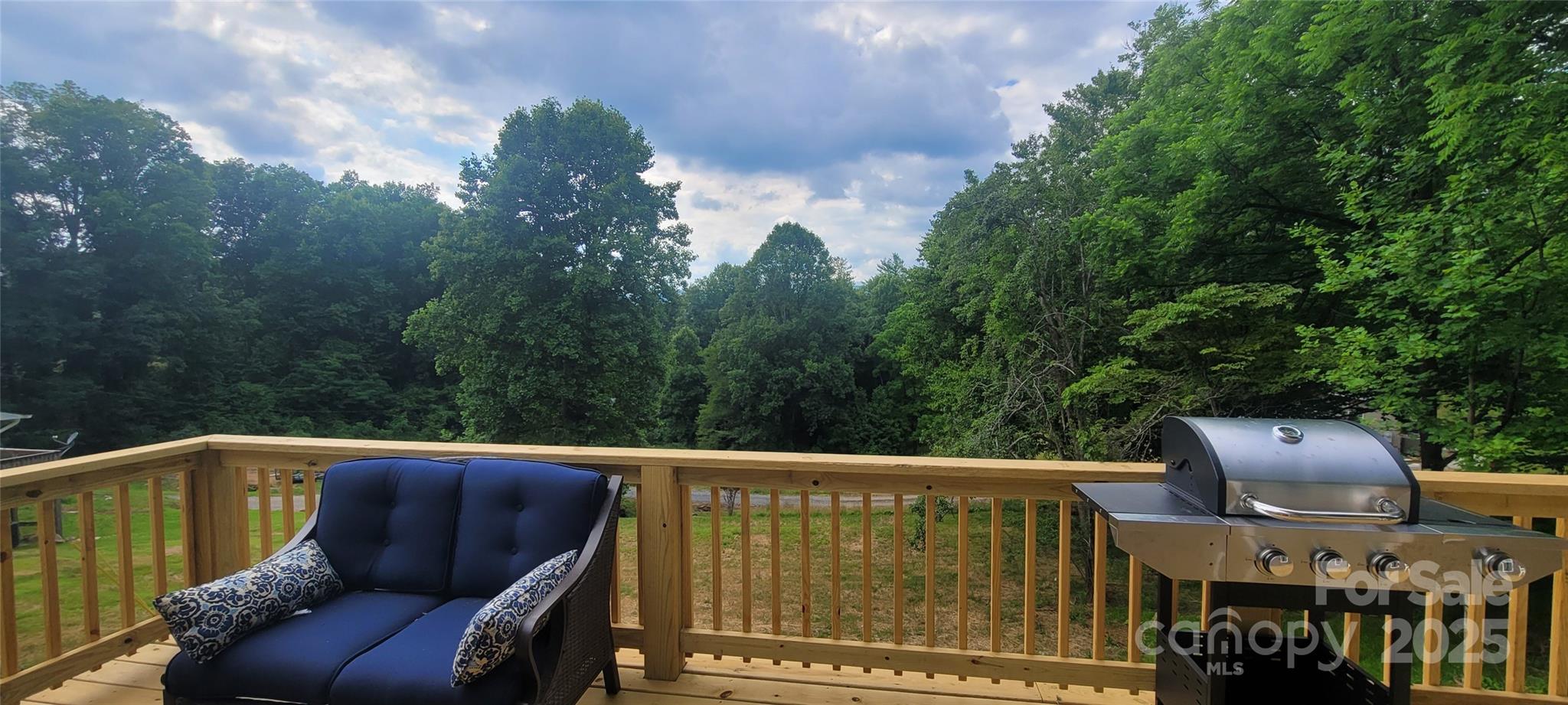 132 Connestee Road Brevard, NC 28712 - Photo 30 of 46