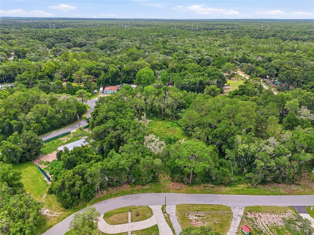 7002 North Castlebury Road Hernando, FL 34442 - Photo 20 of 29