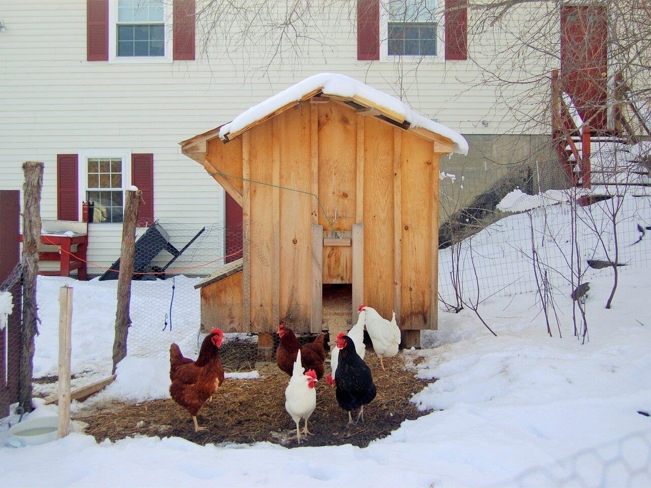 378 Nichols Road Fairfax, VT 05454 - Photo 37 of 37