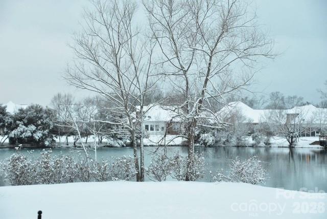 8220 Ruby Valley Road Charlotte, NC 28277 - Photo 47 of 48