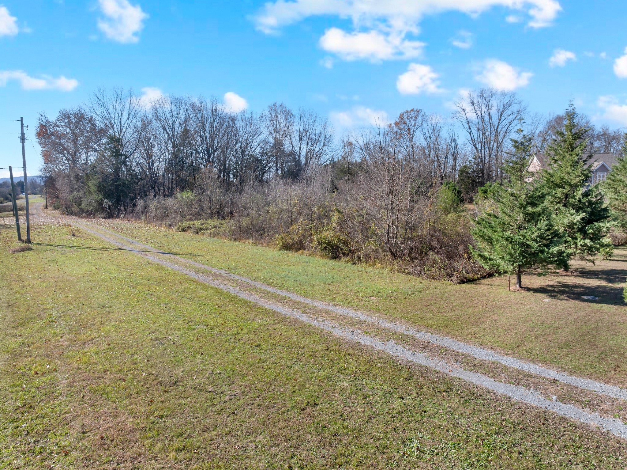 7787 Lowe Road Christiana, TN 37037 - Photo 5 of 15 a view of a yard with a tree