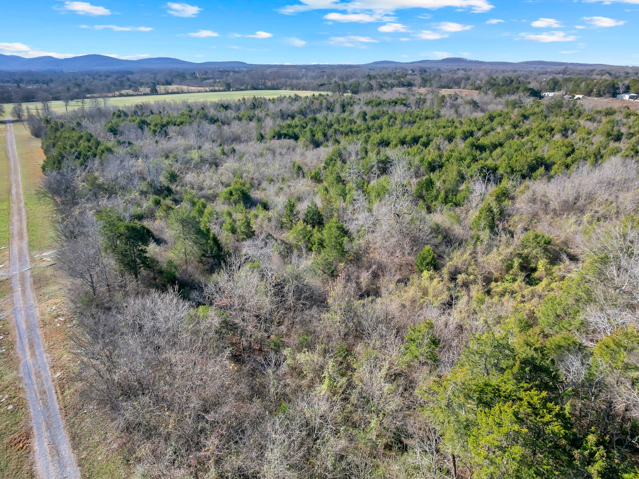 7787 Lowe Road Christiana, TN 37037 - Photo 6 of 15 a view of a city with lush green forest