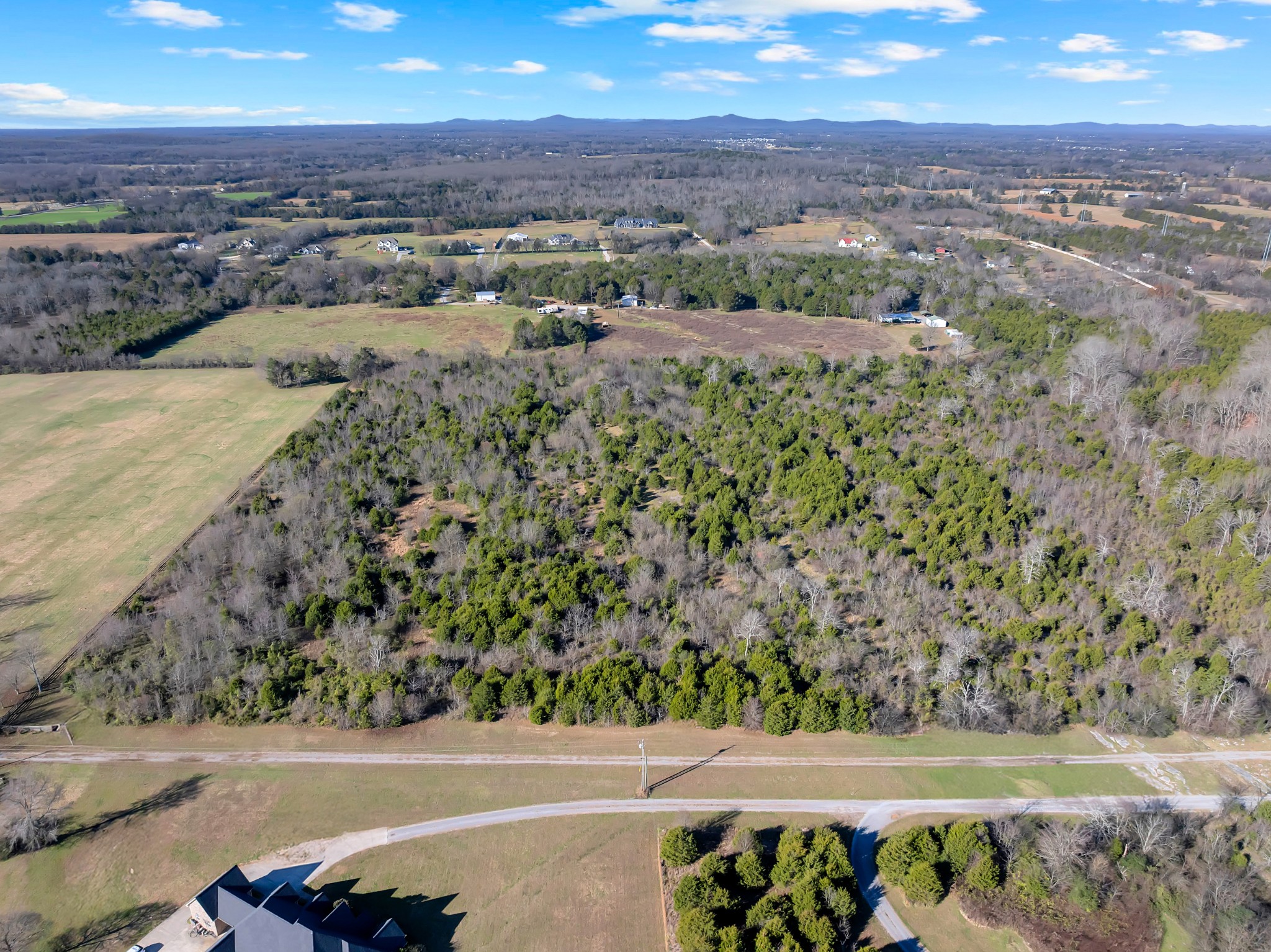 7787 Lowe Road Christiana, TN 37037 - Photo 8 of 15 a view of a yard with an outdoor space
