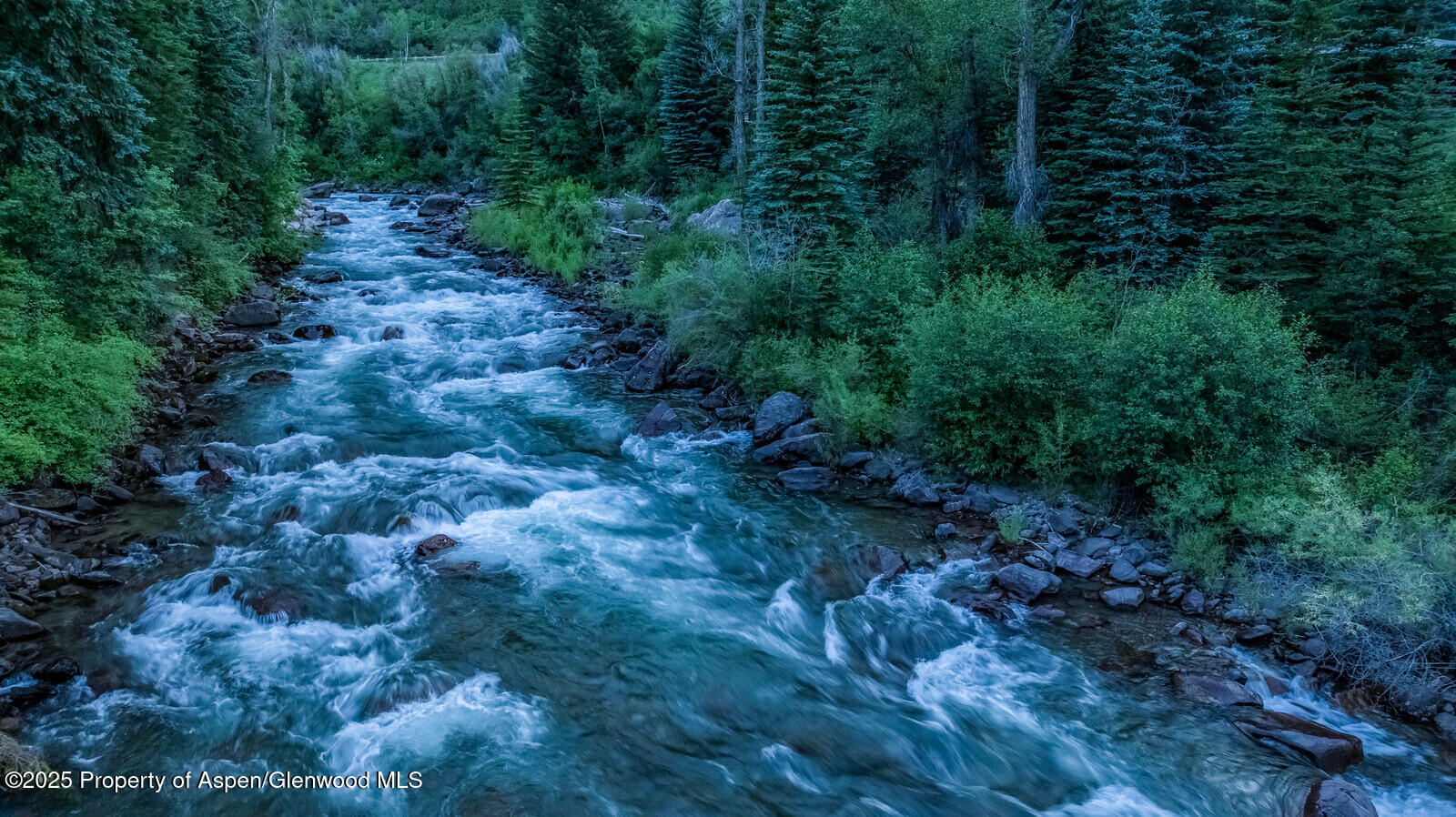 606 Dorais Way Redstone, CO 81623 - Photo 101 of 103 a view of a forest with trees in the background