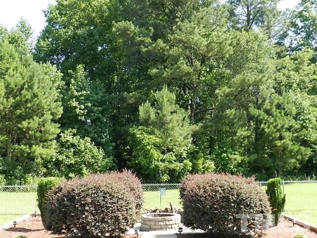 1858 Jack Road Clayton, NC 27520 - Photo 22 of 23 a view of a yard