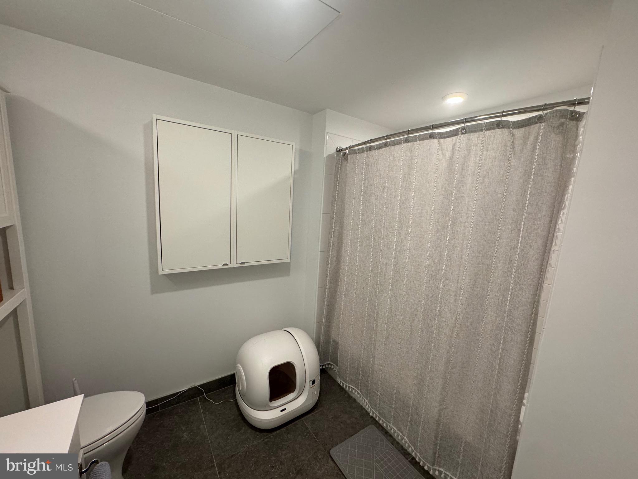 1999-9 1/2 9 1/2 Street Northwest, Unit 303 Washington, DC 20001 - Photo 10 of 14 a bathroom with a sink and a mirror