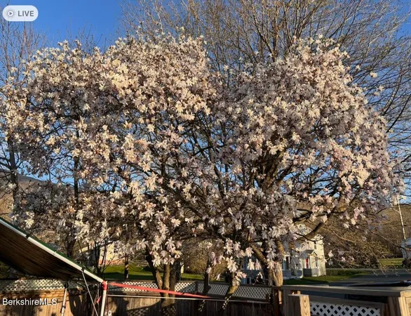 $235,000 | 13 Water Street, Adams, MA 01220