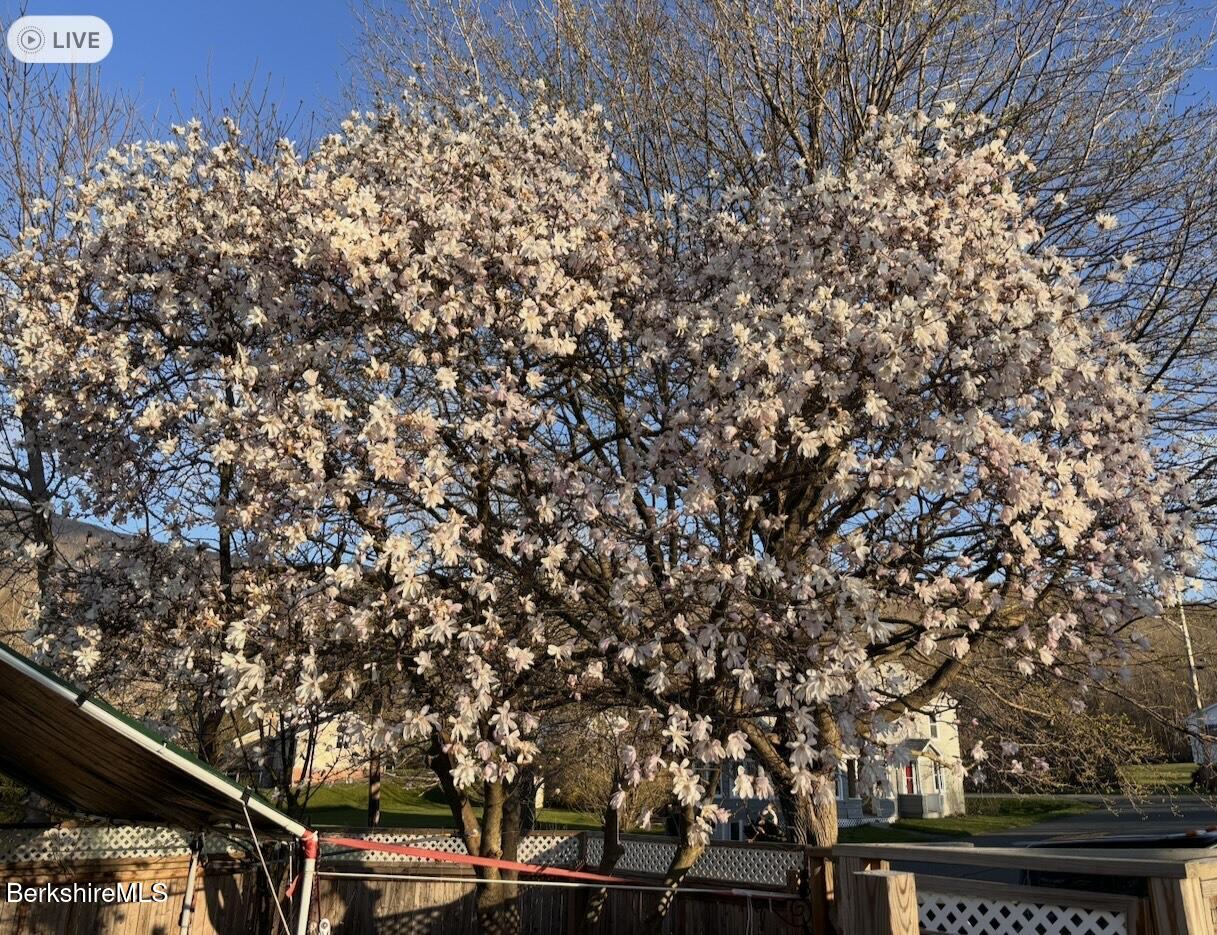 13 Water Street Adams, MA 01220 - Photo 15 of 15 a backyard of a house with lots of green space