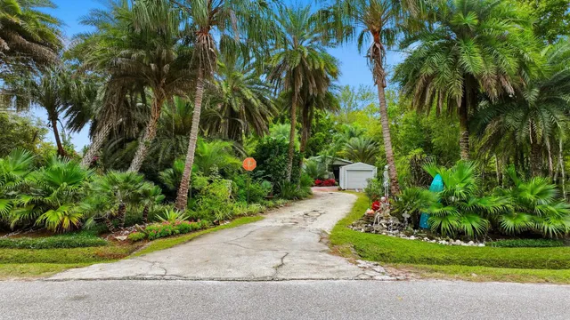 a view of a garden with a plants