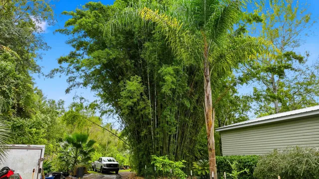 a view of a garden from a balcony