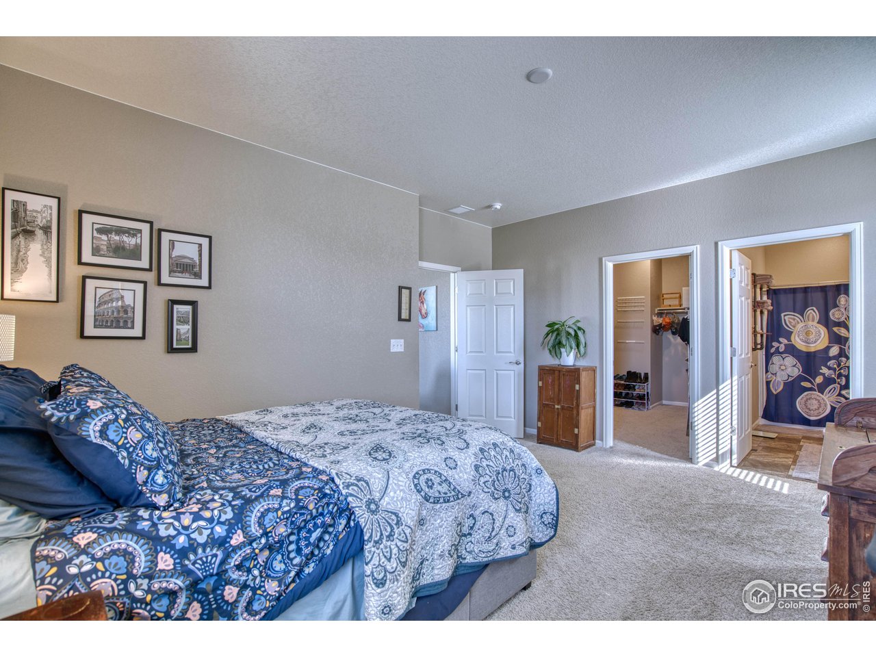 7215 Clarke Drive Frederick, CO 80530 - Photo 13 of 21 Primary Bedroom with Walk-in