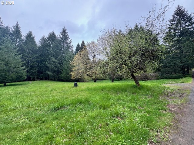 23939 Raze Road Elmira, OR 97437 - Photo 37 of 44