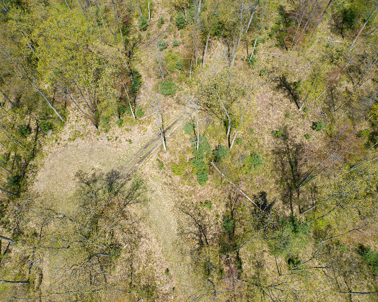 Off Of Lakeland Drive Rhinelander, WI 54501 - Photo 15 of 17 Gallery Image 15