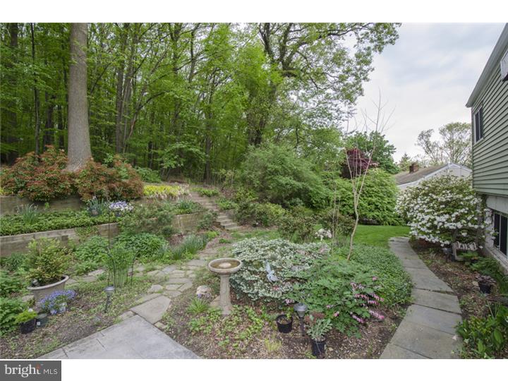 460 Howellville Road Berwyn, PA 19312 - Photo 23 of 25 View in Back