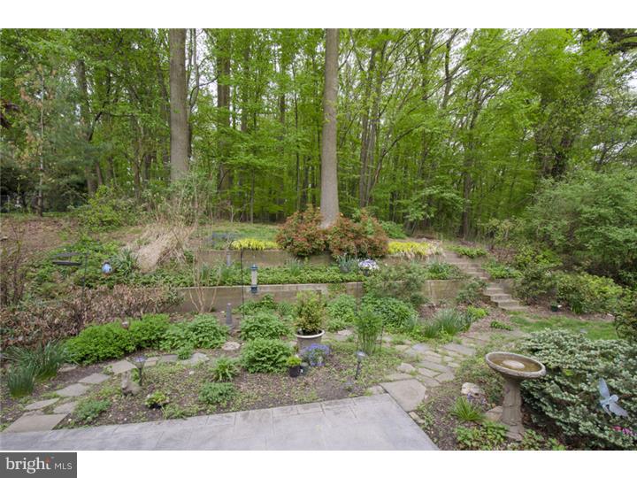 460 Howellville Road Berwyn, PA 19312 - Photo 24 of 25 View in Back