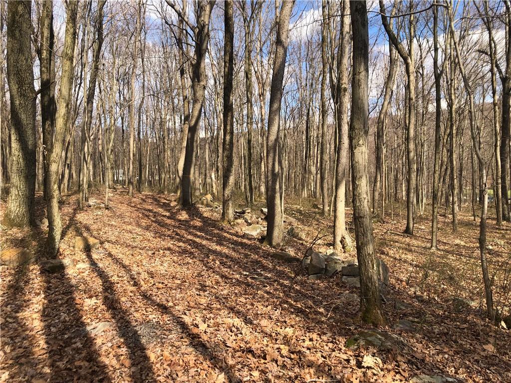 0 Maple Summit Road Mill Run, PA 15464 - Photo 8 of 25 a view of covered with trees