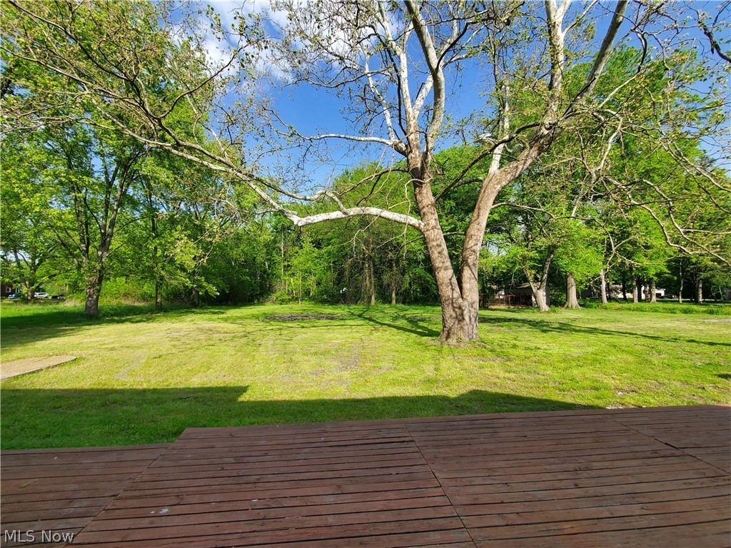 724 Briggs Road Leavittsburg, OH 44430 - Photo 19 of 38