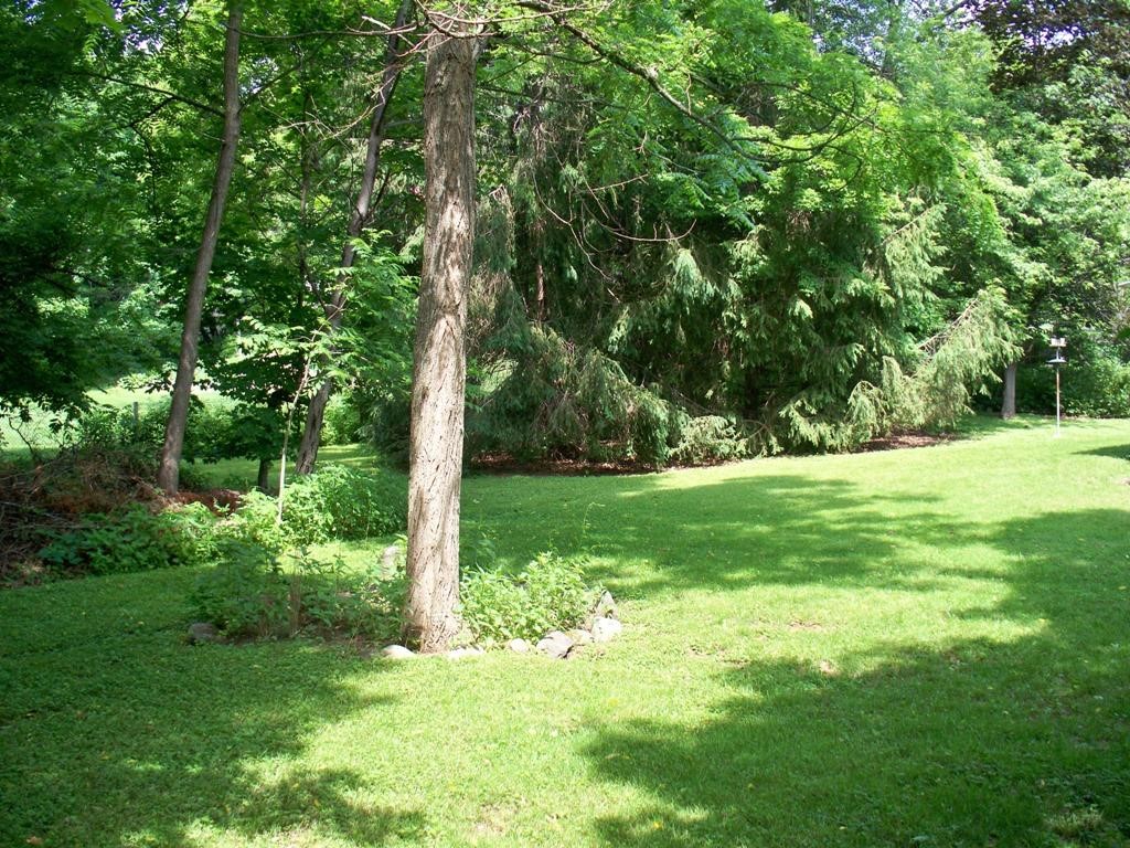 203 Pearl Street Rutland, VT 05701 - Photo 4 of 26