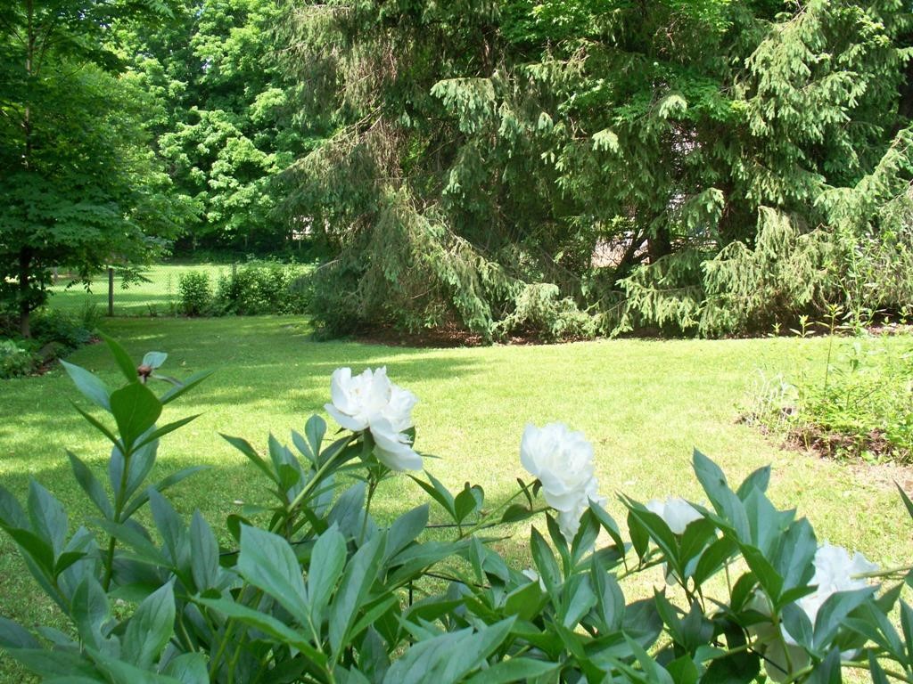 203 Pearl Street Rutland, VT 05701 - Photo 7 of 26