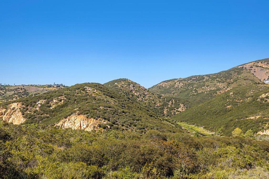 1672 Sagewood Way San Marcos, CA 92078 - Photo 61 of 61 a view of a large mountain with mountains in the background