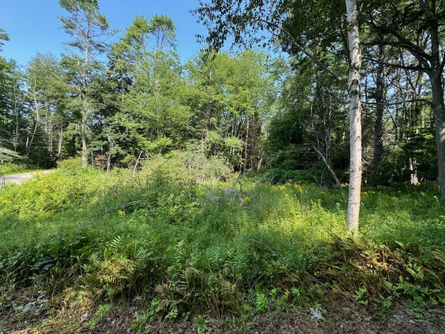 Lot C Long Point Road Harpswell, ME 04079 - Photo 16 of 36 unnamed-2 copy