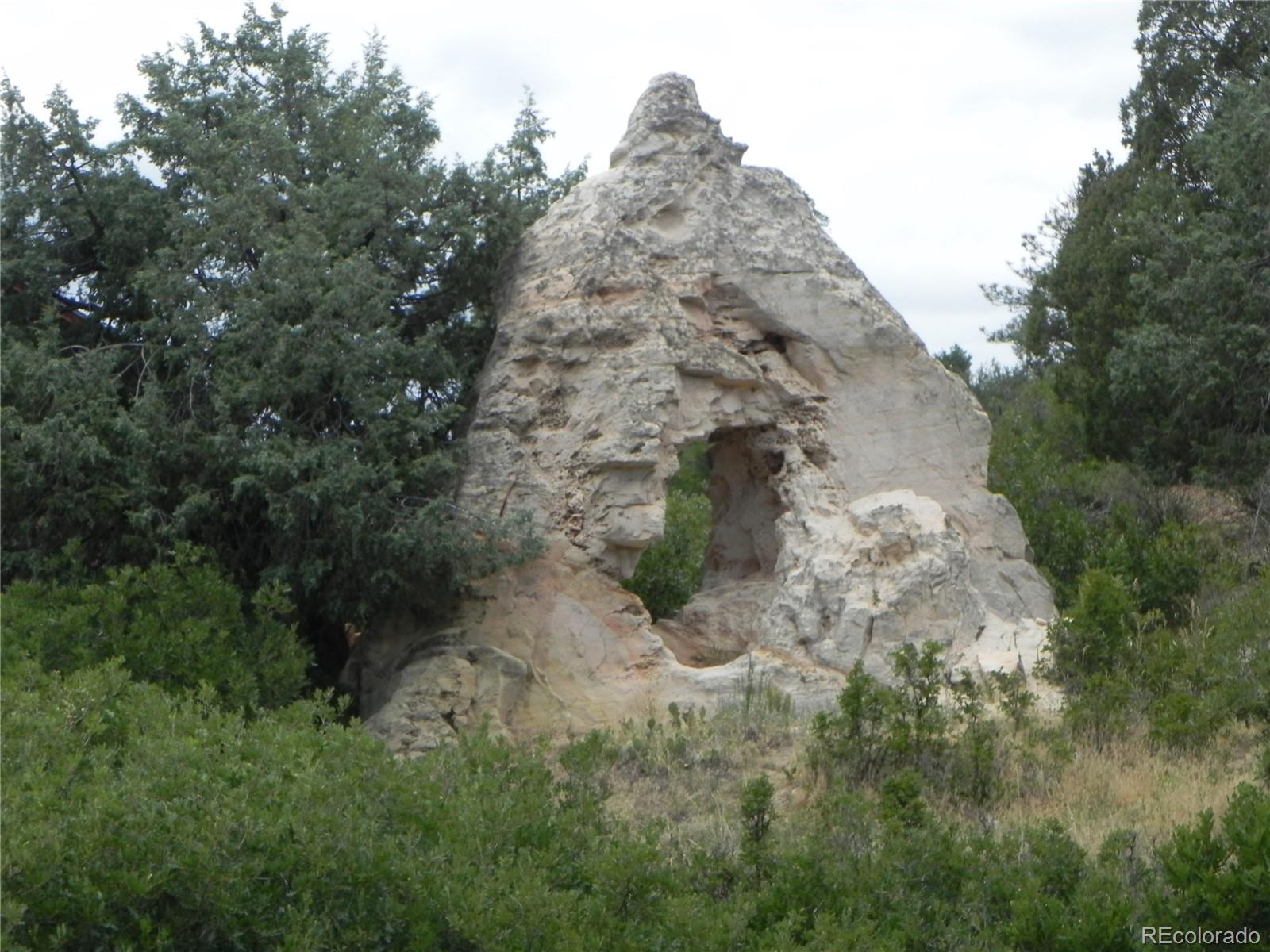 7749 Inca Road Larkspur, CO 80118 - Photo 12 of 49 a view of a dry field with trees in the background