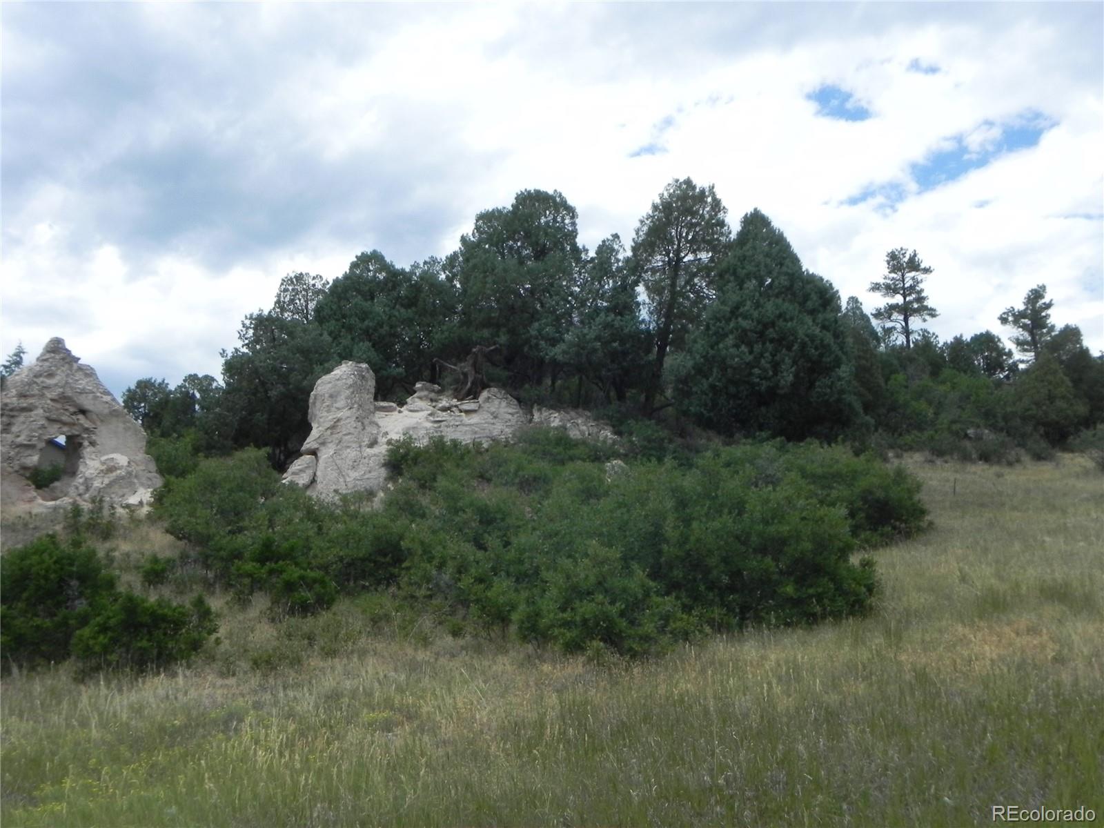 7749 Inca Road Larkspur, CO 80118 - Photo 13 of 49 a view of a lot of trees in background
