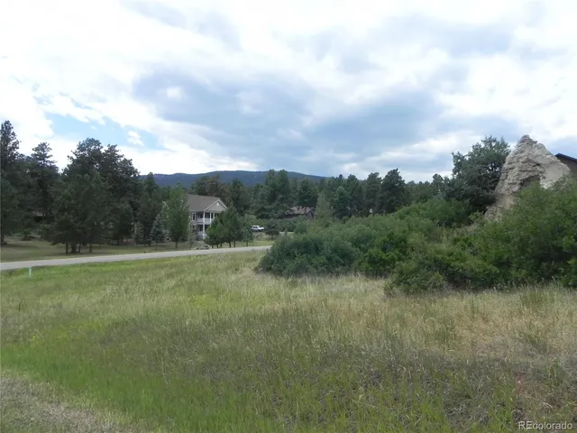 a view of a big yard with potted plants and mountain view