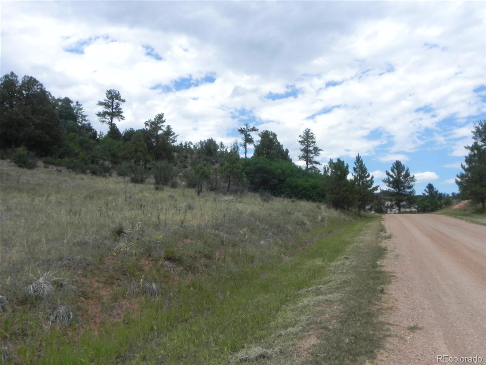 7749 Inca Road Larkspur, CO 80118 - Photo 15 of 49 a view of a lake with trees in the background