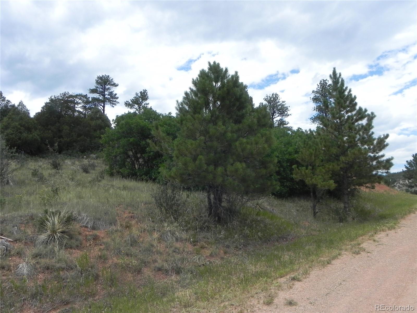 7749 Inca Road Larkspur, CO 80118 - Photo 17 of 49 a view of a lake with trees all around